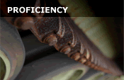 Proficiency
